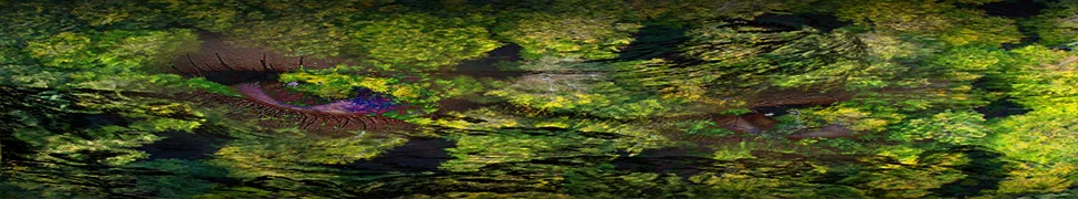 bandcampbanner