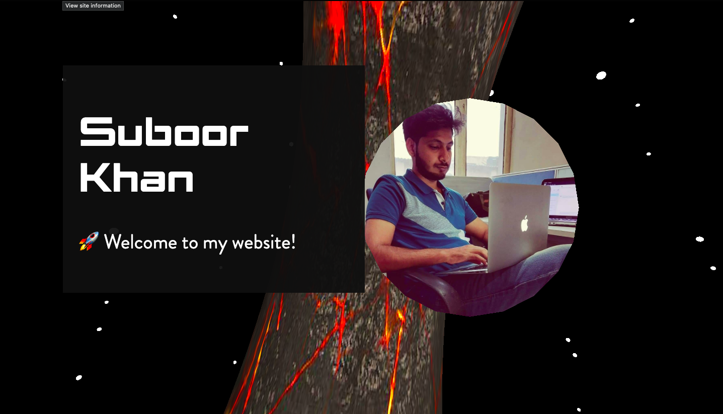 First 3D Website services