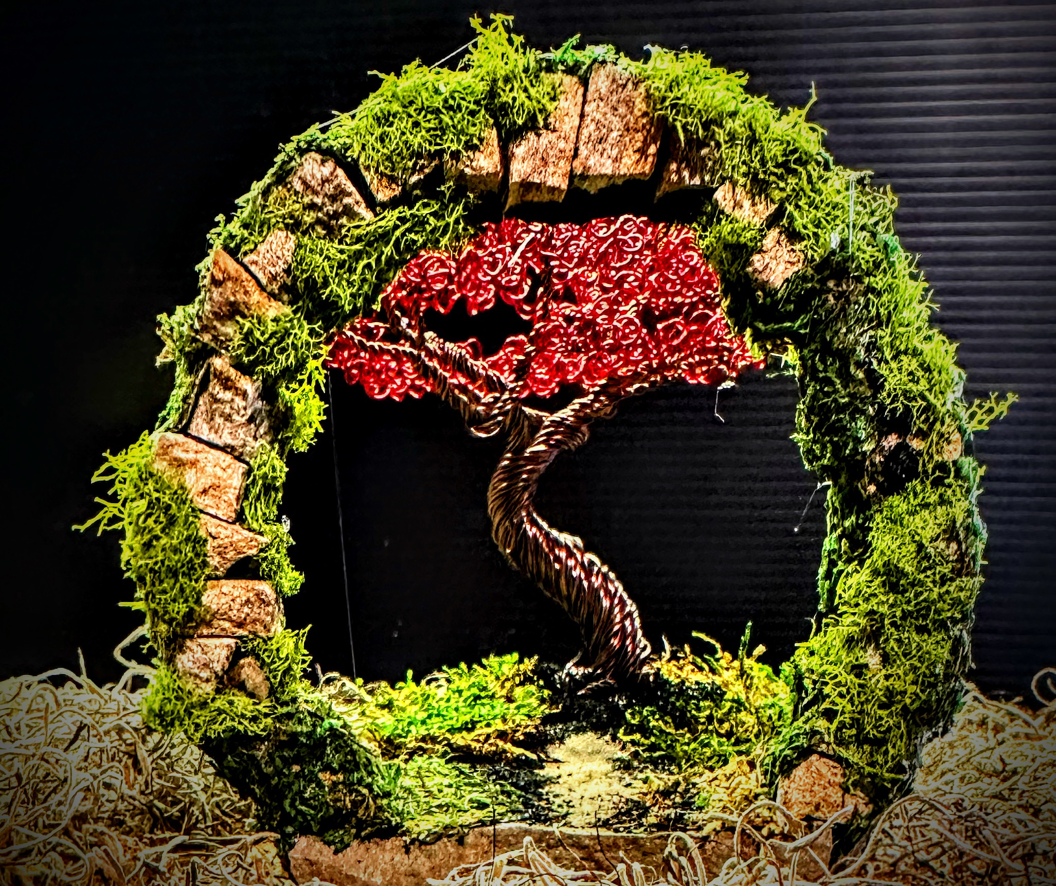 Moongate Bonsai