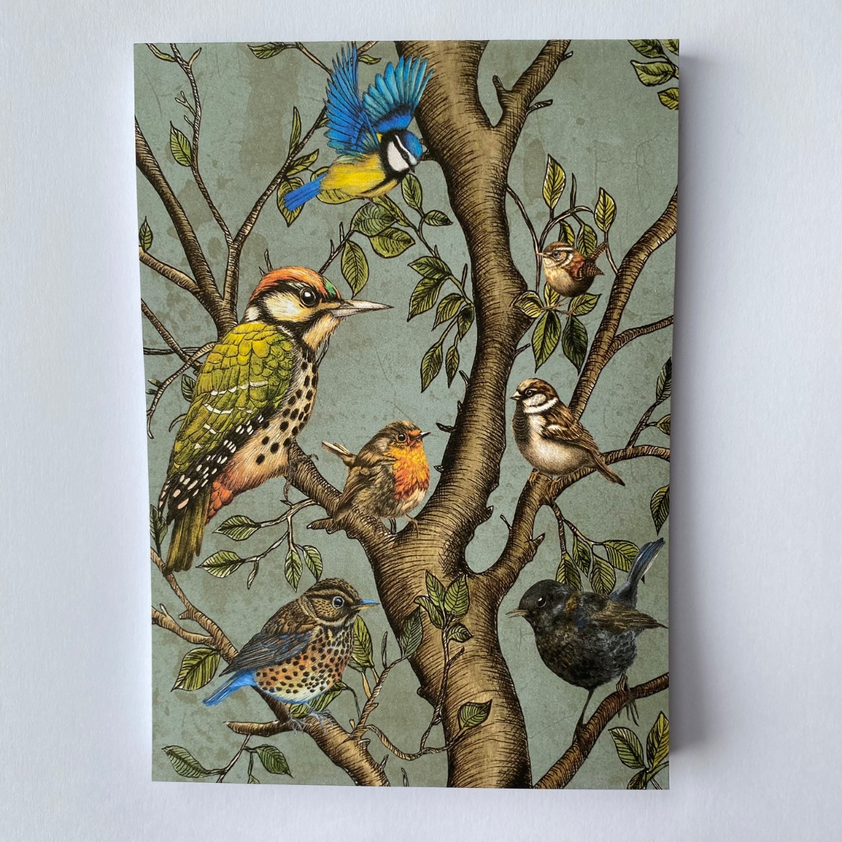 Notebooks
