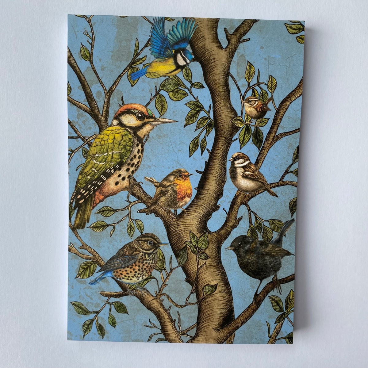 Notebooks