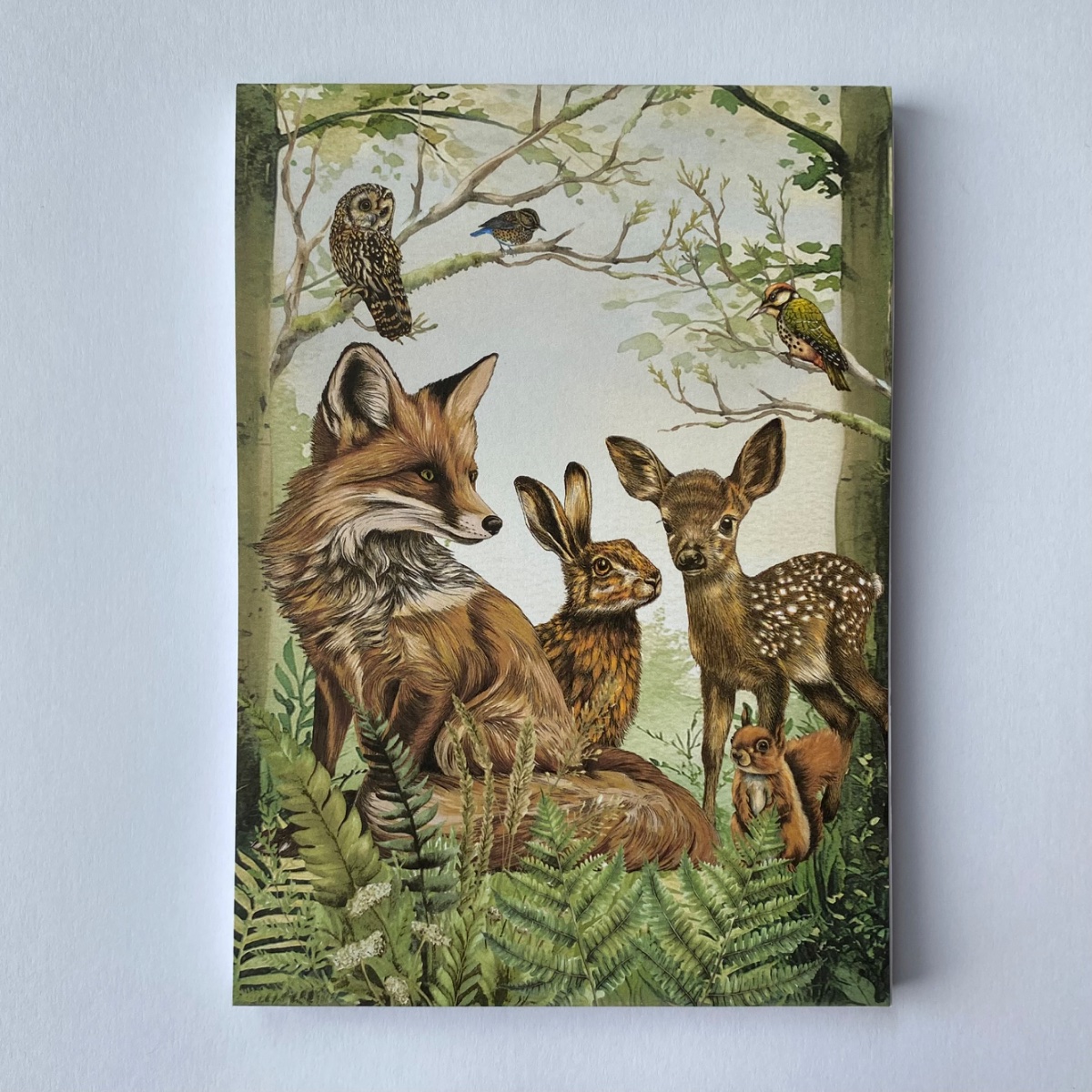 Notebooks