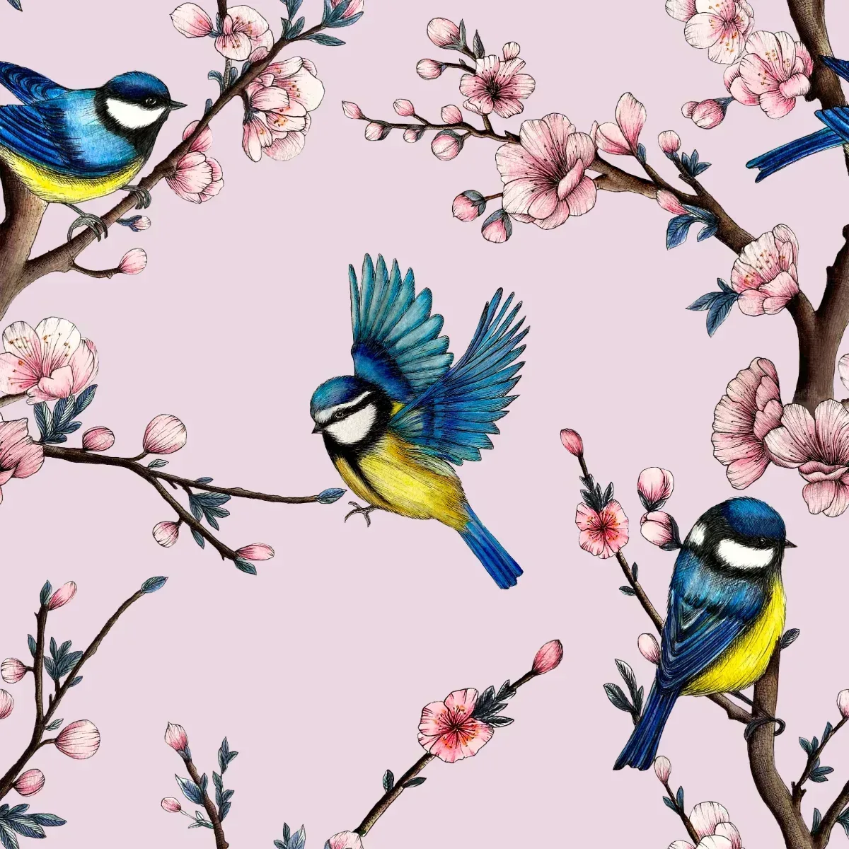 Blue Tits Wallpaper