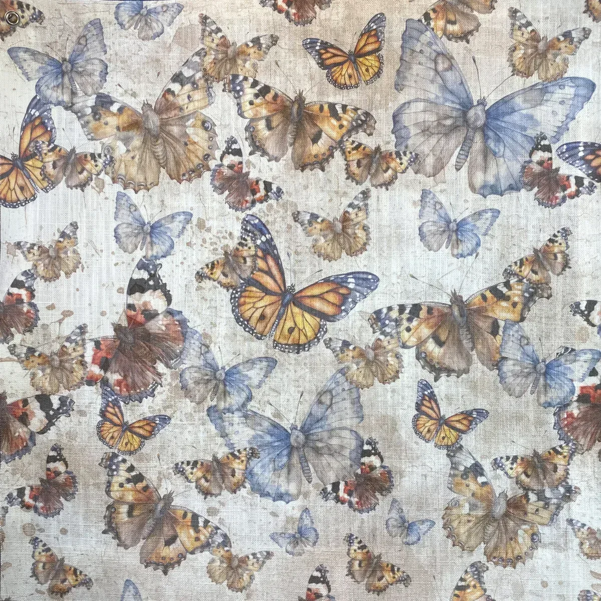 Butterflies Fabric