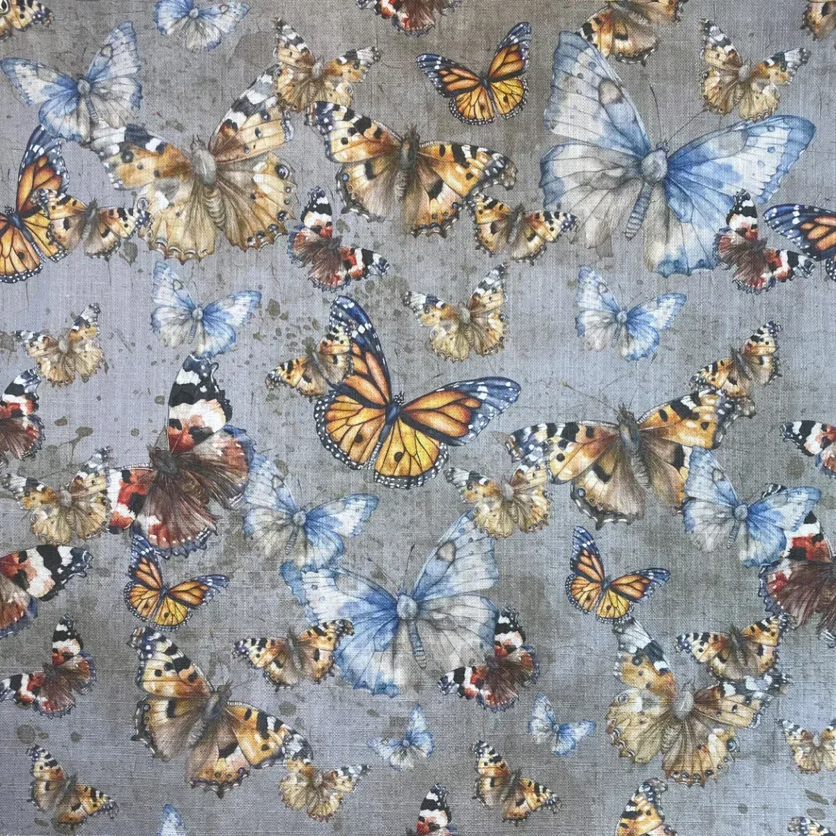 Butterflies Fabric