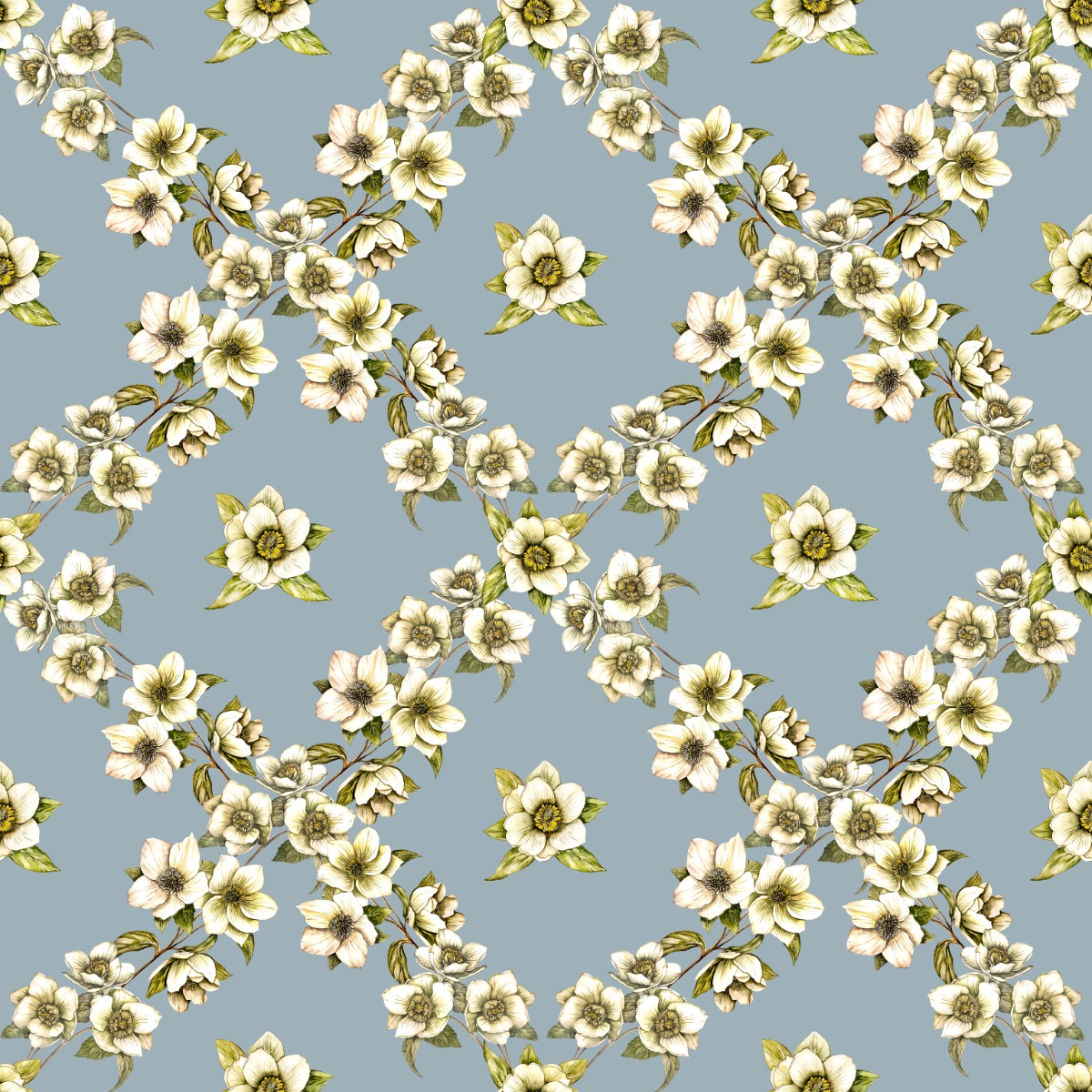 Hellebores