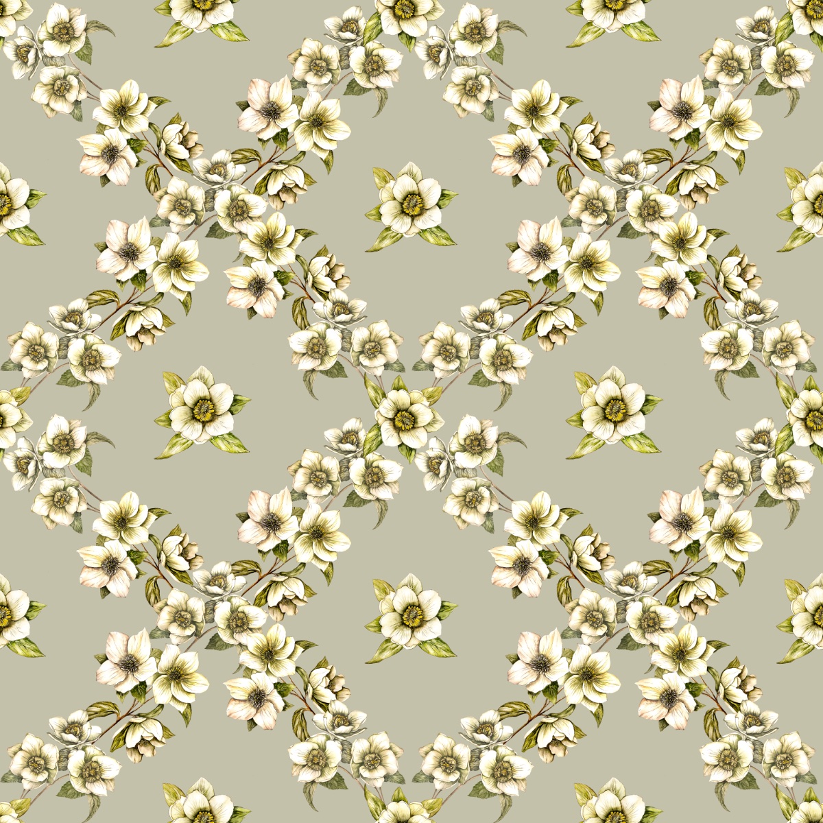 Hellebores