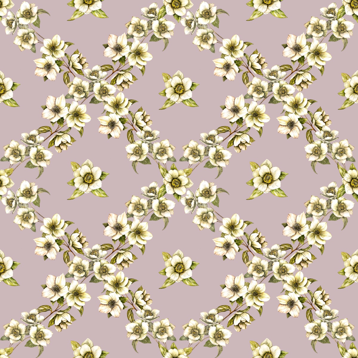 Hellebores