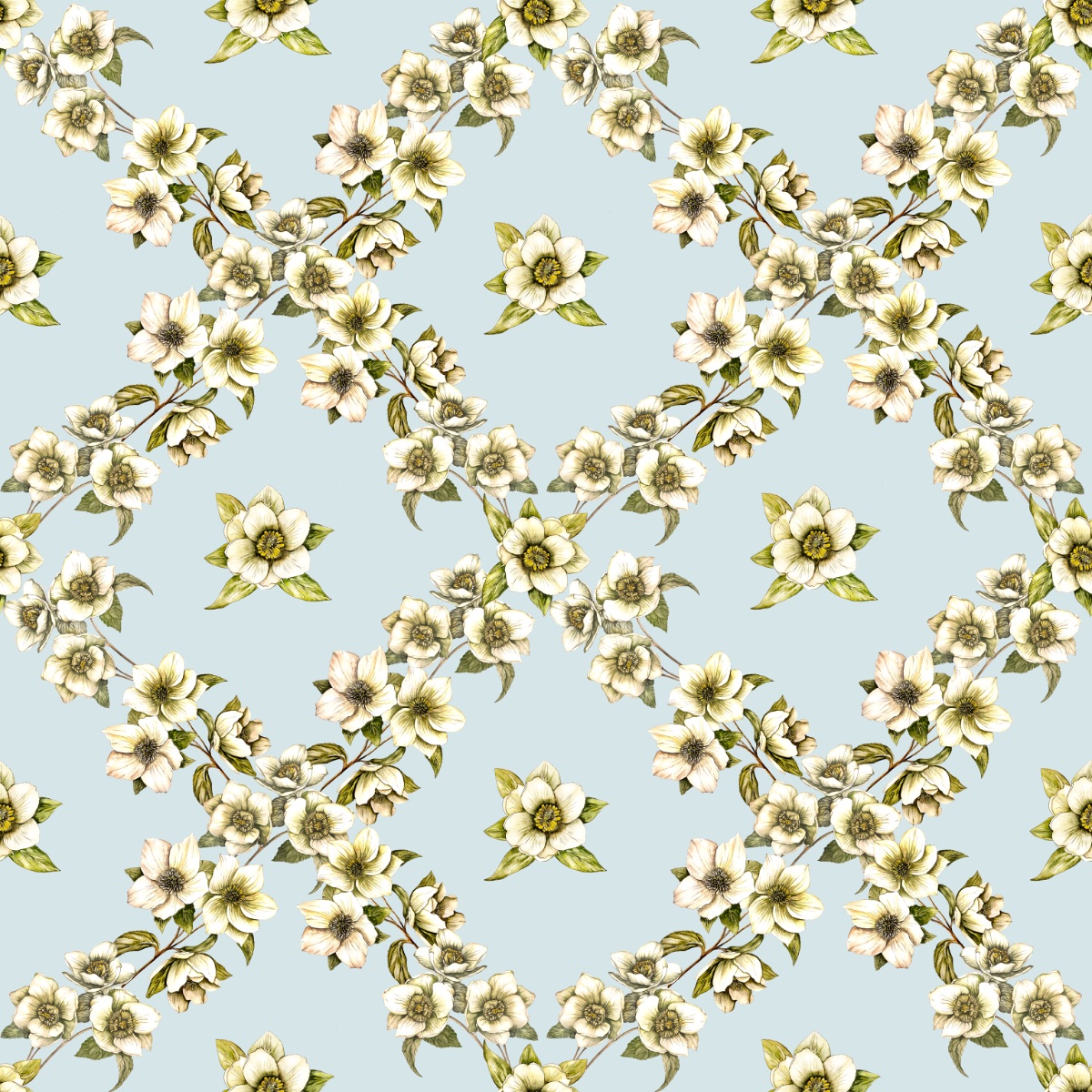 Hellebores