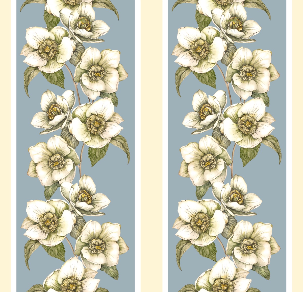 Hellebores Stripe