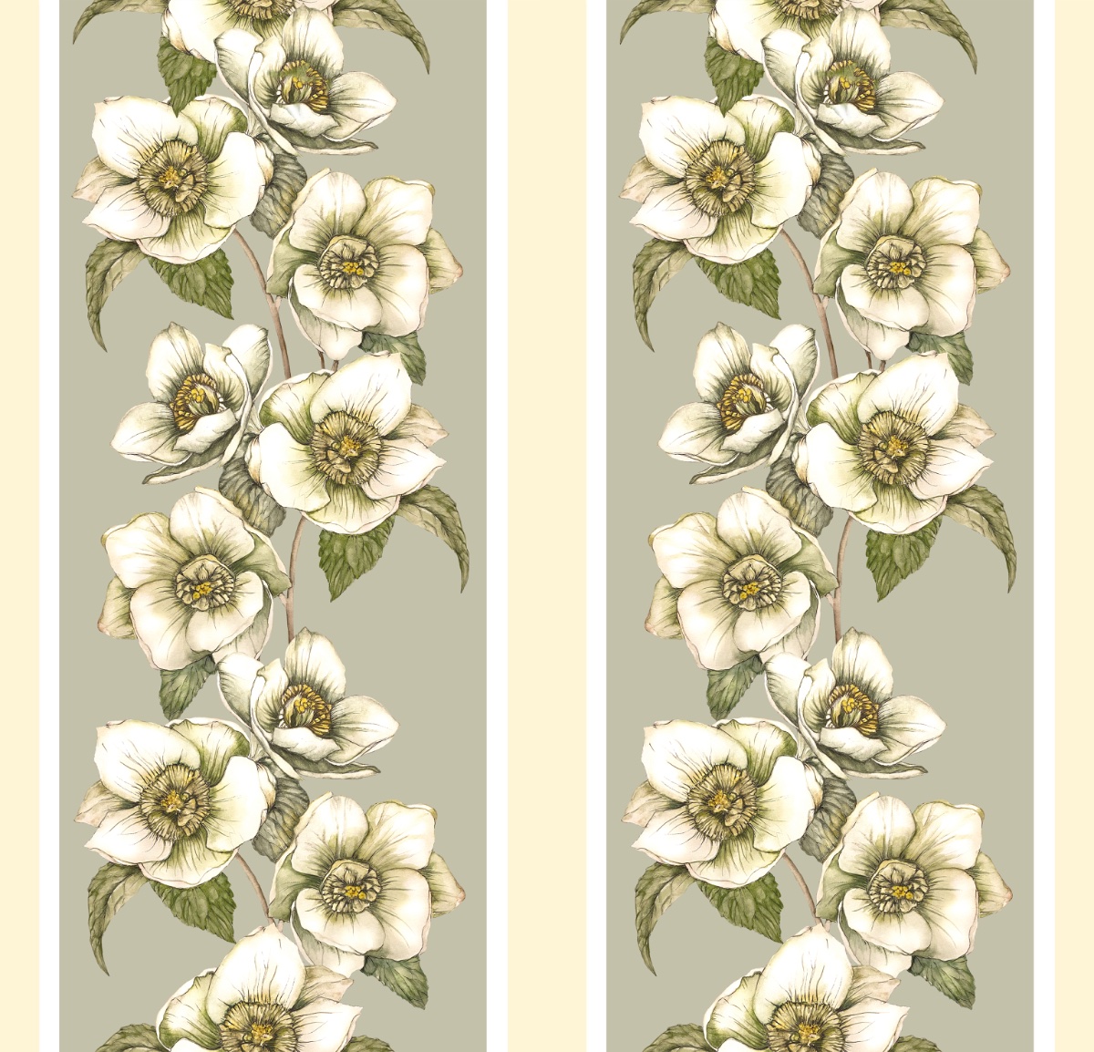 Hellebores Stripe