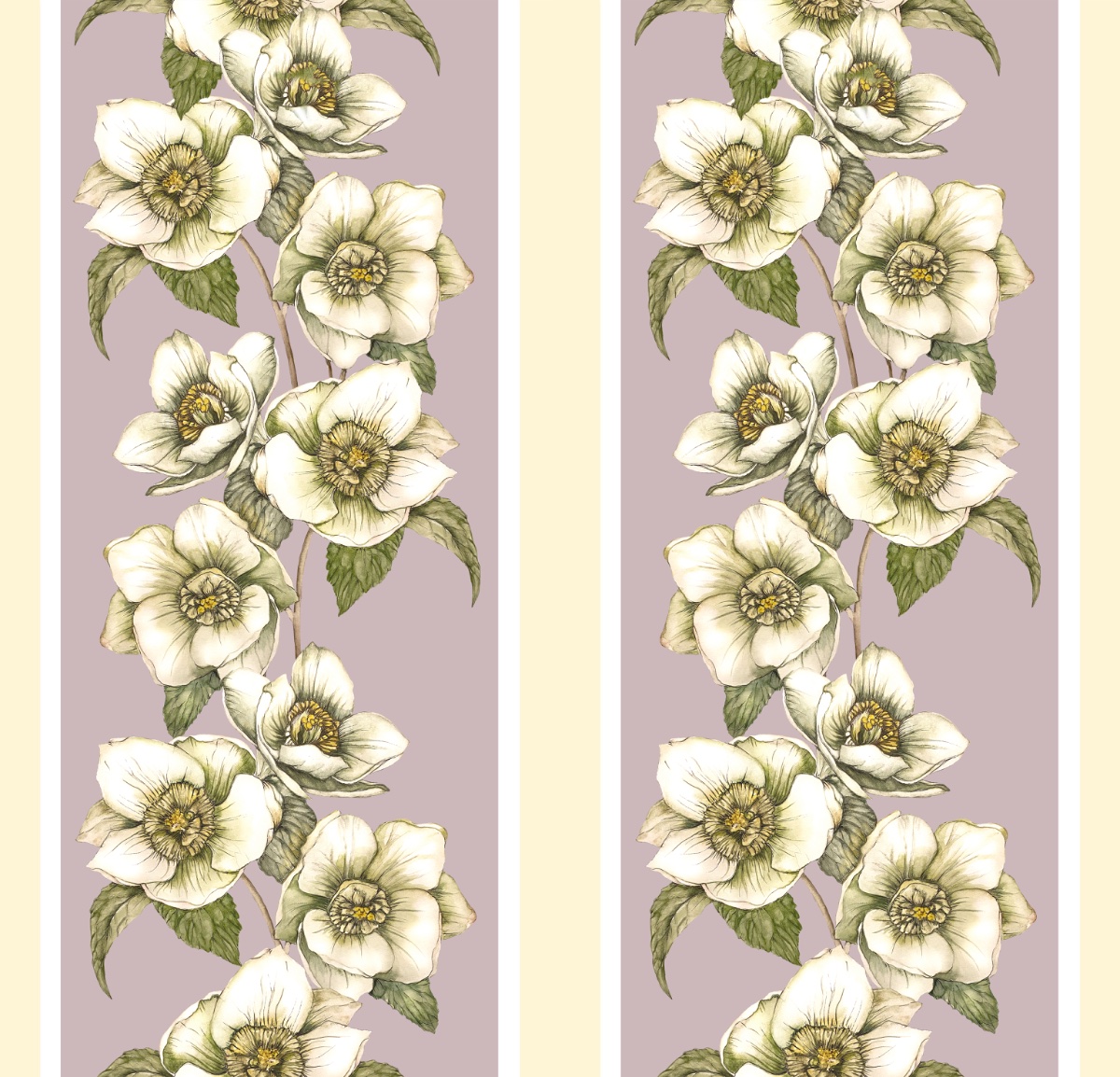 Hellebores Stripe
