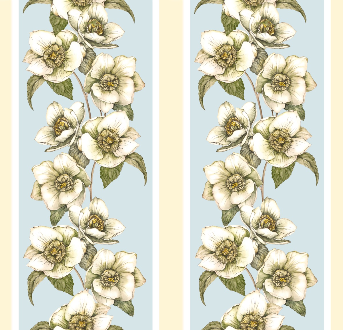 Hellebores Stripe