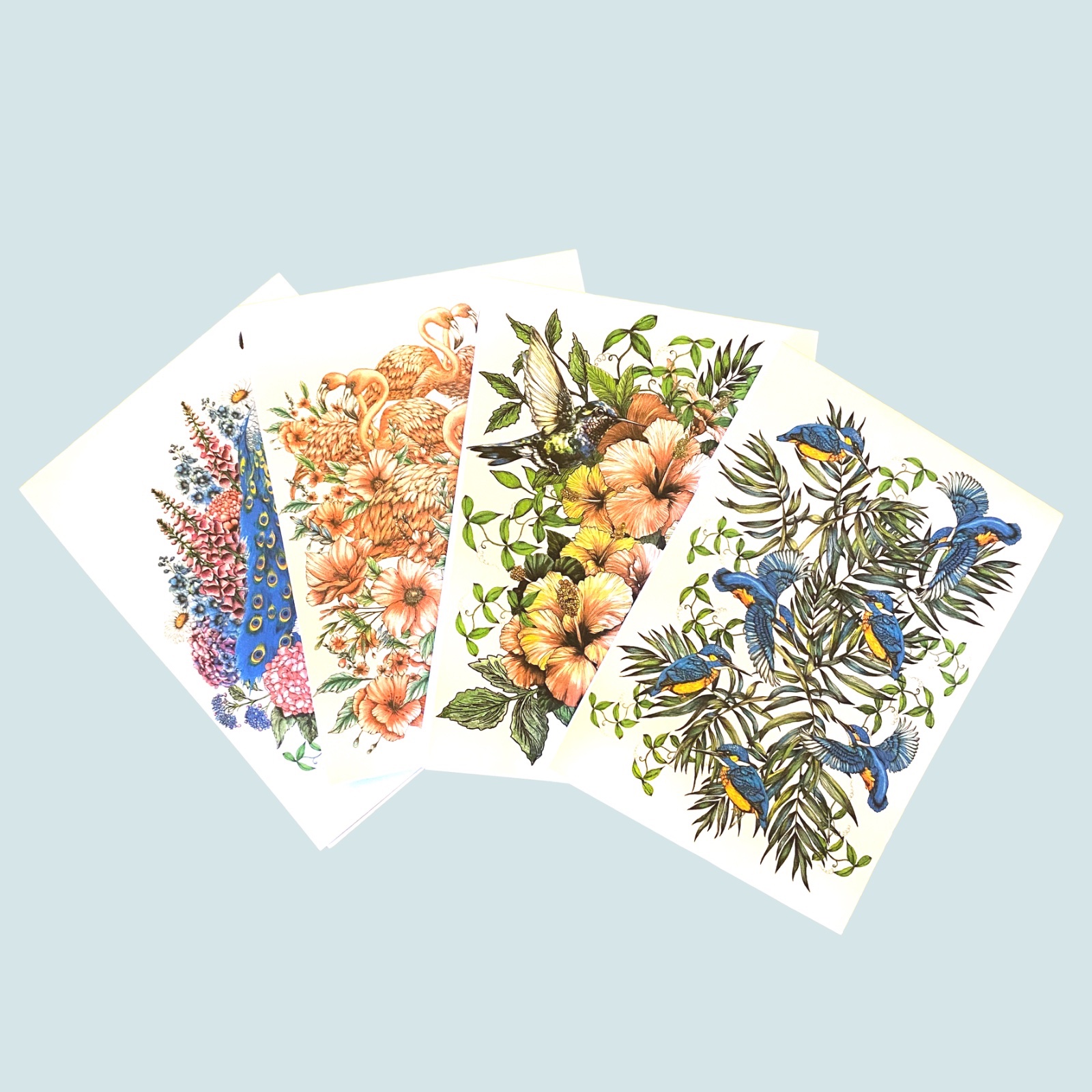 Notebooks — image 5