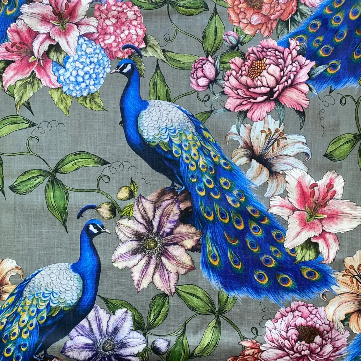 Peacock Passion Fabric