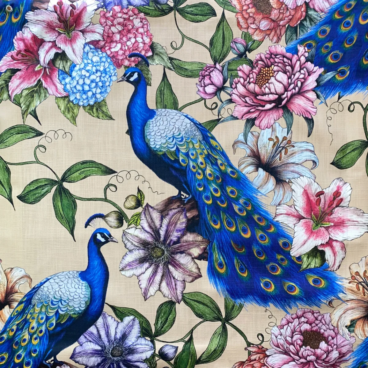 Peacock Passion Fabric