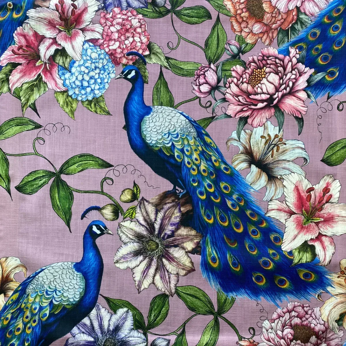 Peacock Passion Fabric