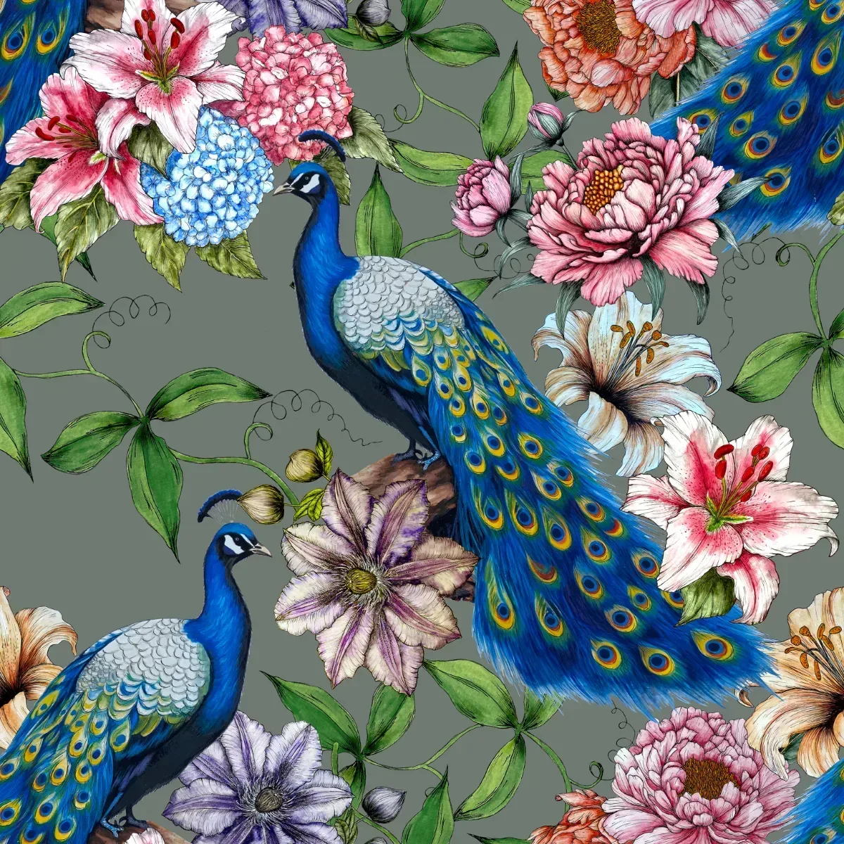 Peacock Passion Wallpaper
