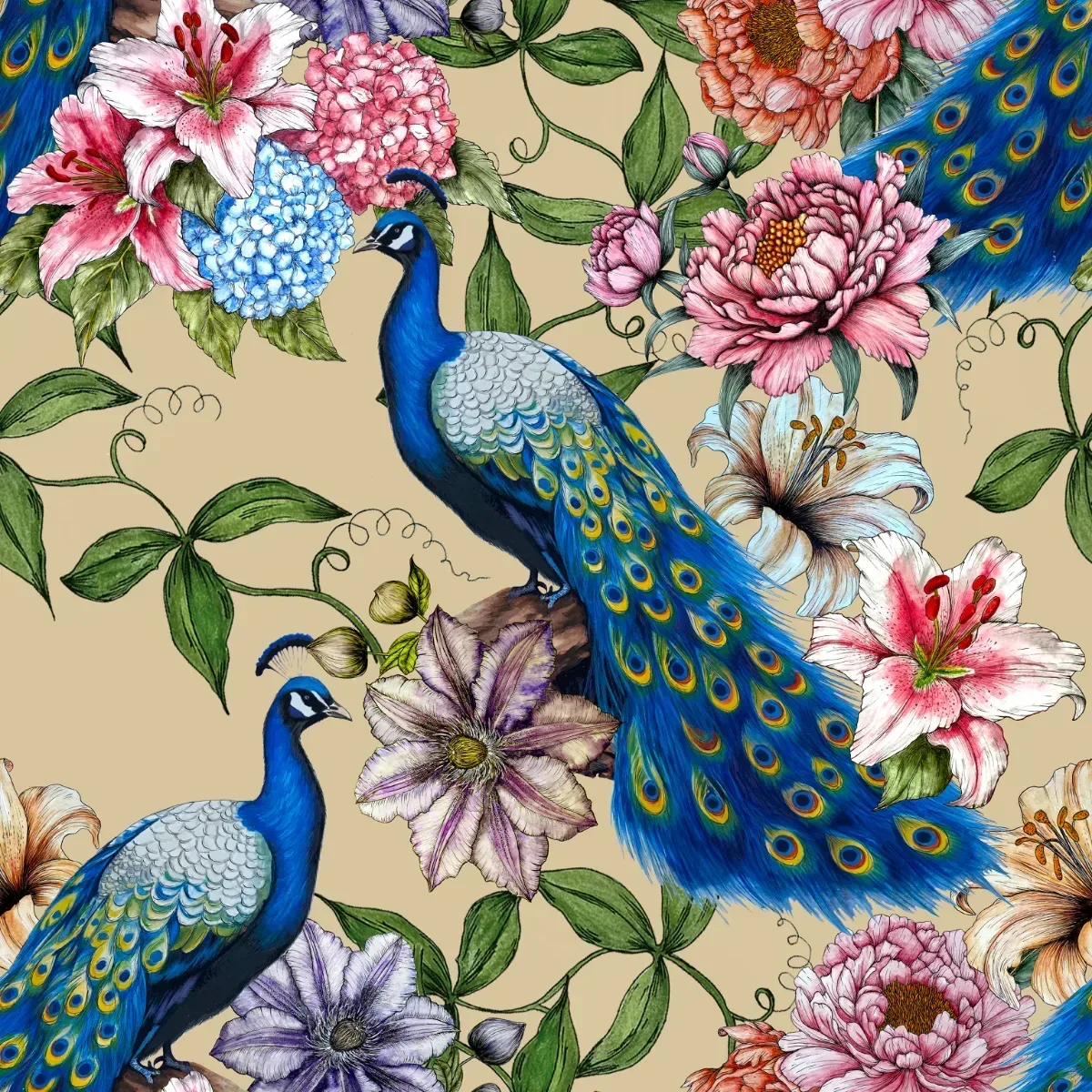 Peacock Passion Wallpaper