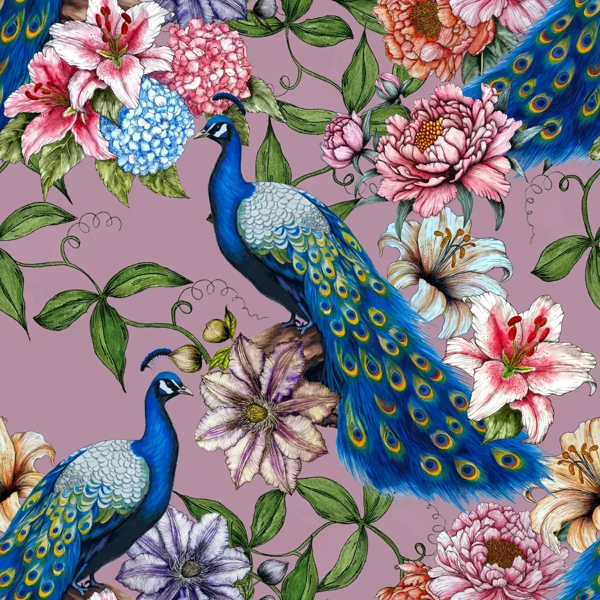 Peacock Passion Wallpaper