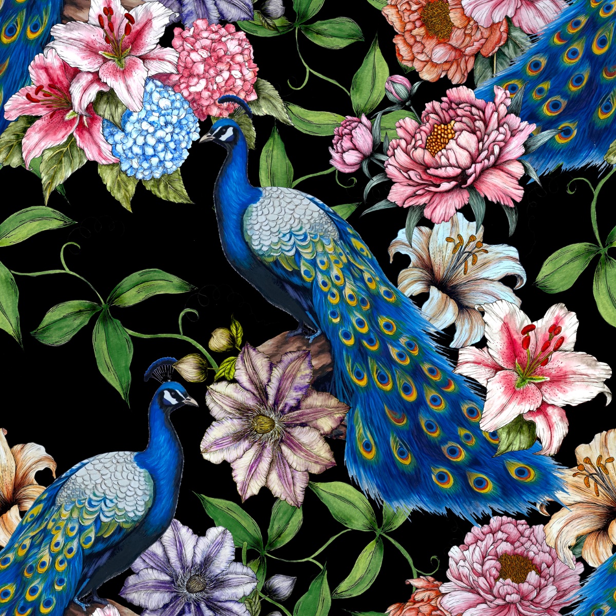Peacock Passion Wallpaper