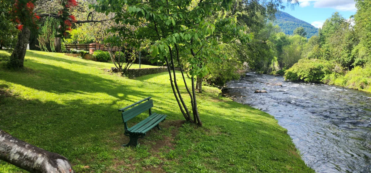 Banco en el parque junto al río en Prueba 1, rodeado de naturaleza. Ideal para relajarse y disfrutar del paisaje.