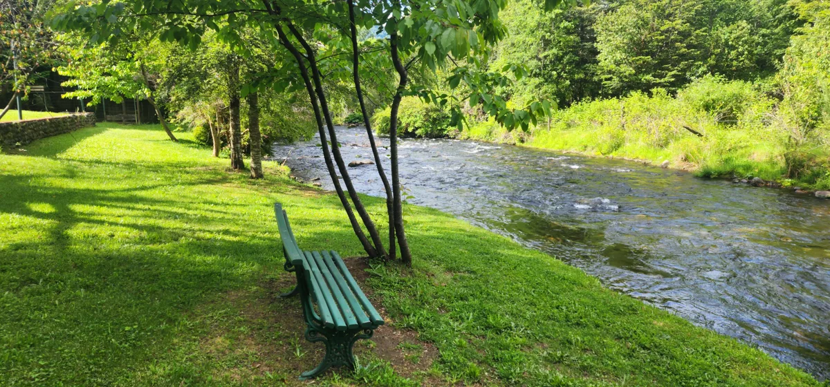 Banco de madera junto al río en la instalación del recinto, un área común ideal para relajarse en Prueba 1.