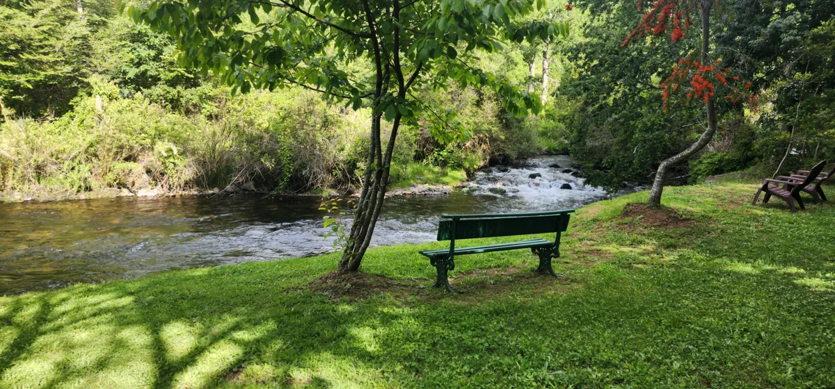 Área común en Instalación del recinto: banco verde junto al río, entorno natural relajante para disfrutar en Prueba 1.