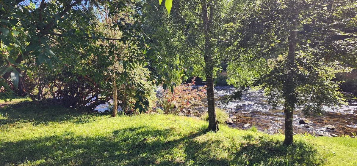 Río serpenteando entre árboles y prados en Instalación del recinto, un espacio natural para disfrutar.
