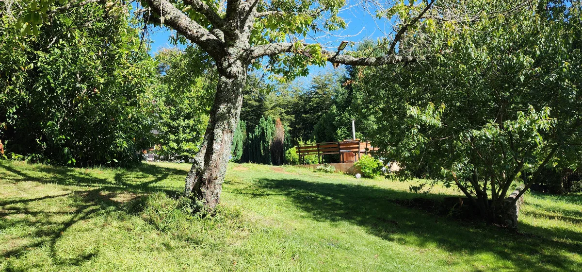 Instalación del recinto: área común con césped, árboles y banco. Un oasis de tranquilidad en Prueba 1.