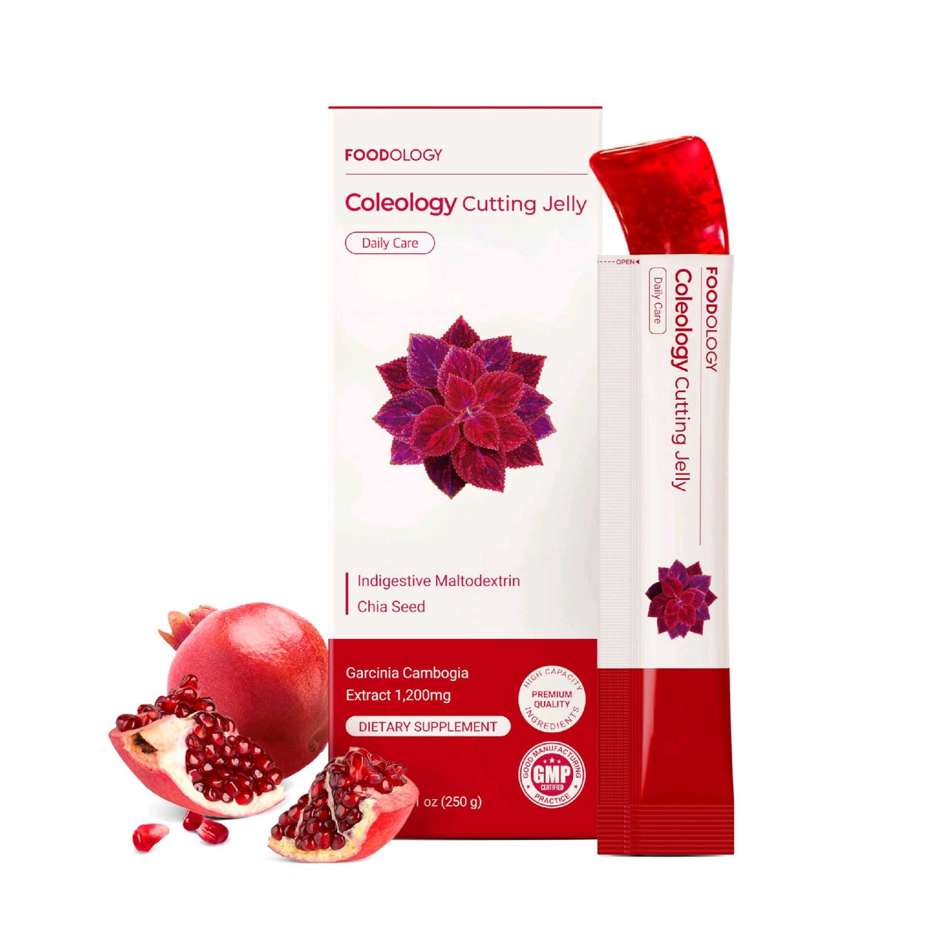 FOODOLOGY Coleology Cutting Jelly