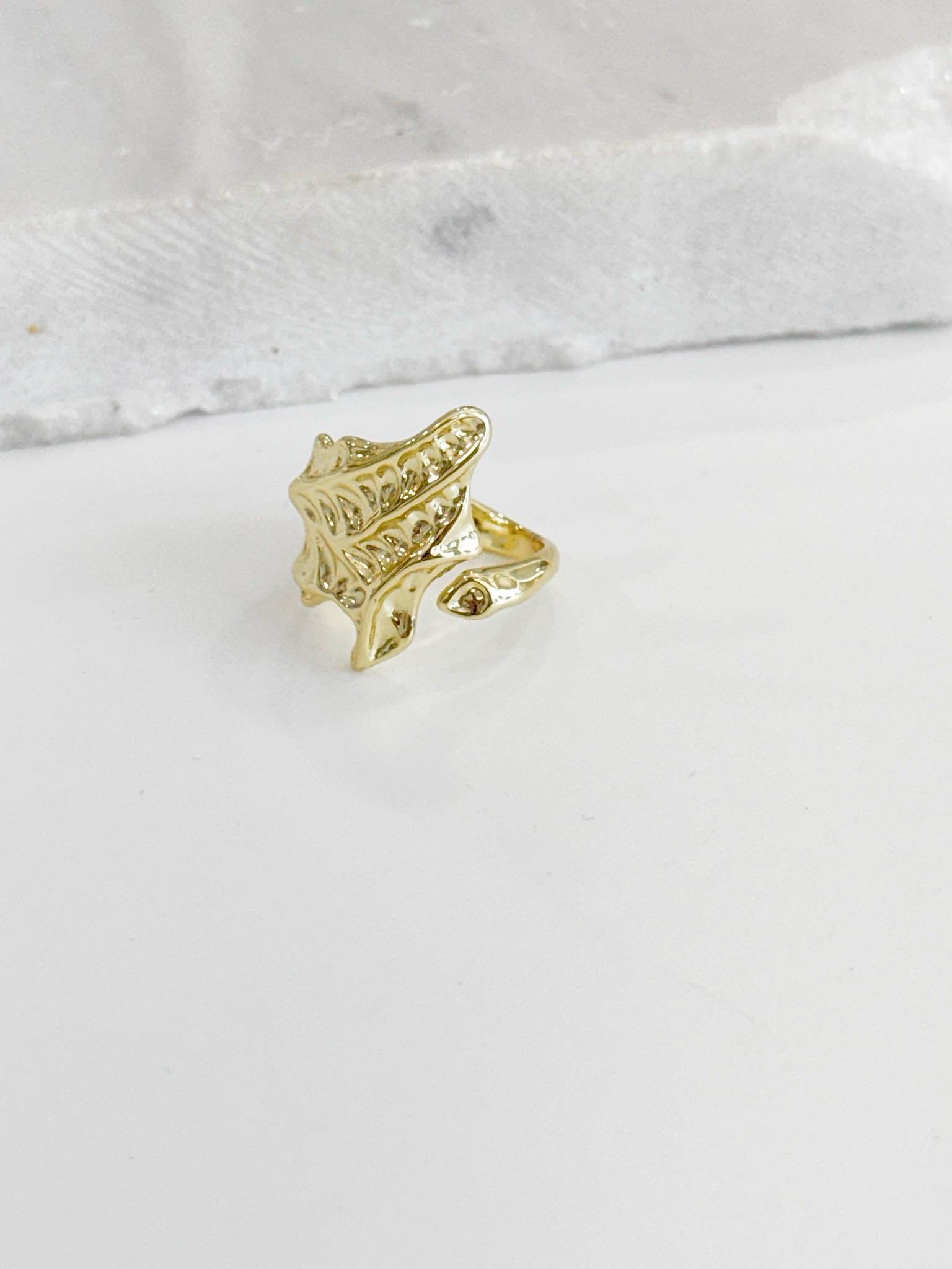 ANILLO F-0025