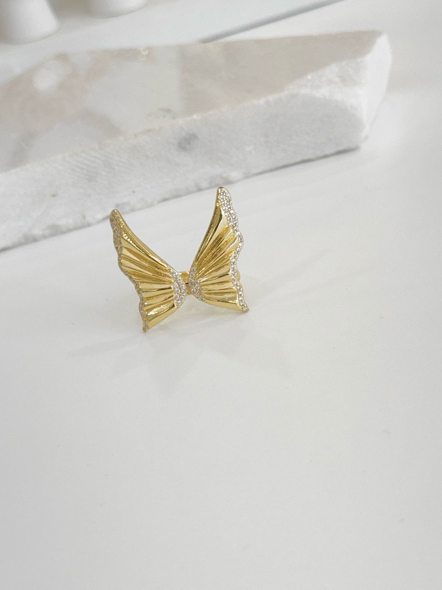 ANILLO F-0011