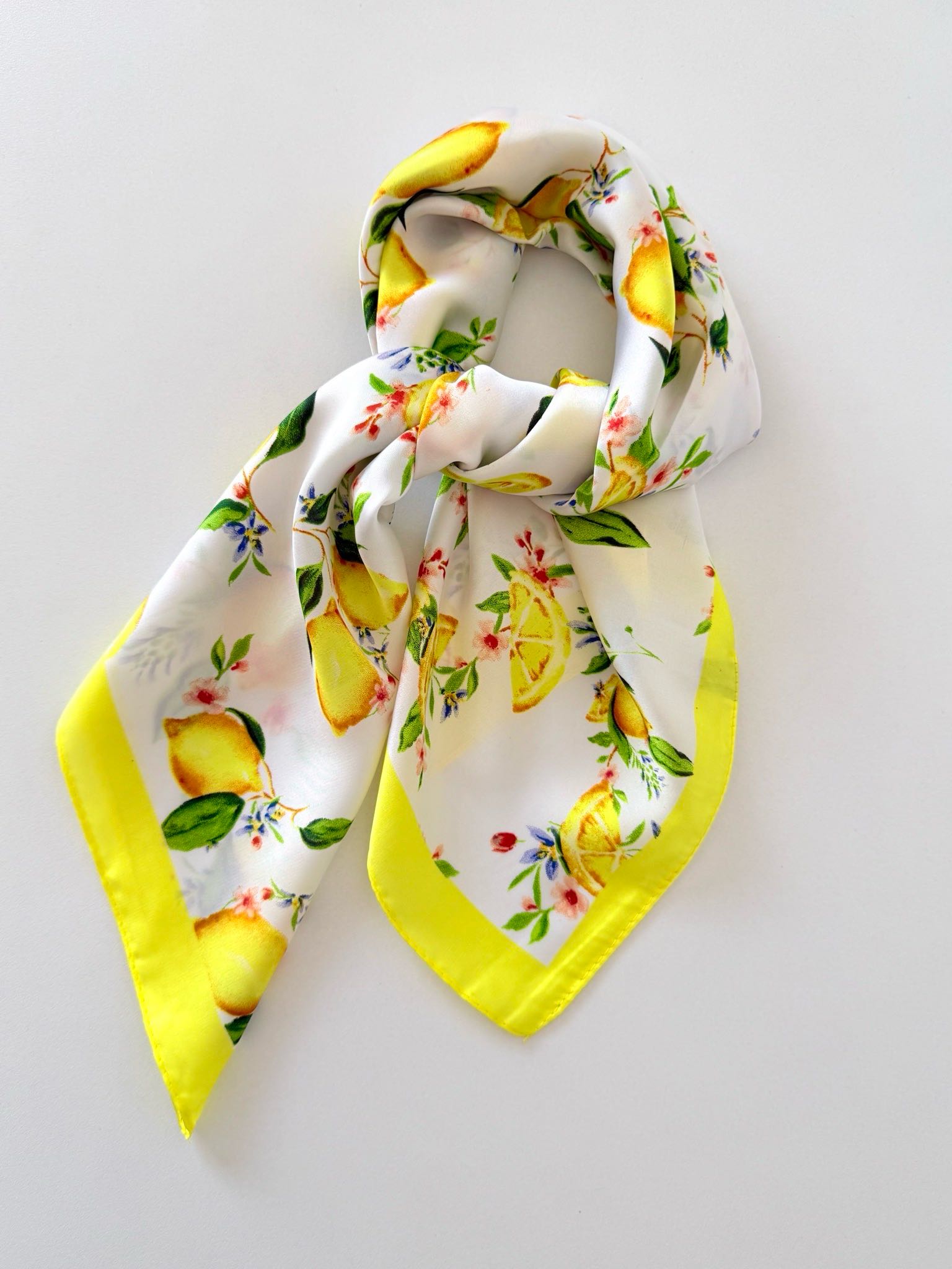 PAÑOLETA F-0013