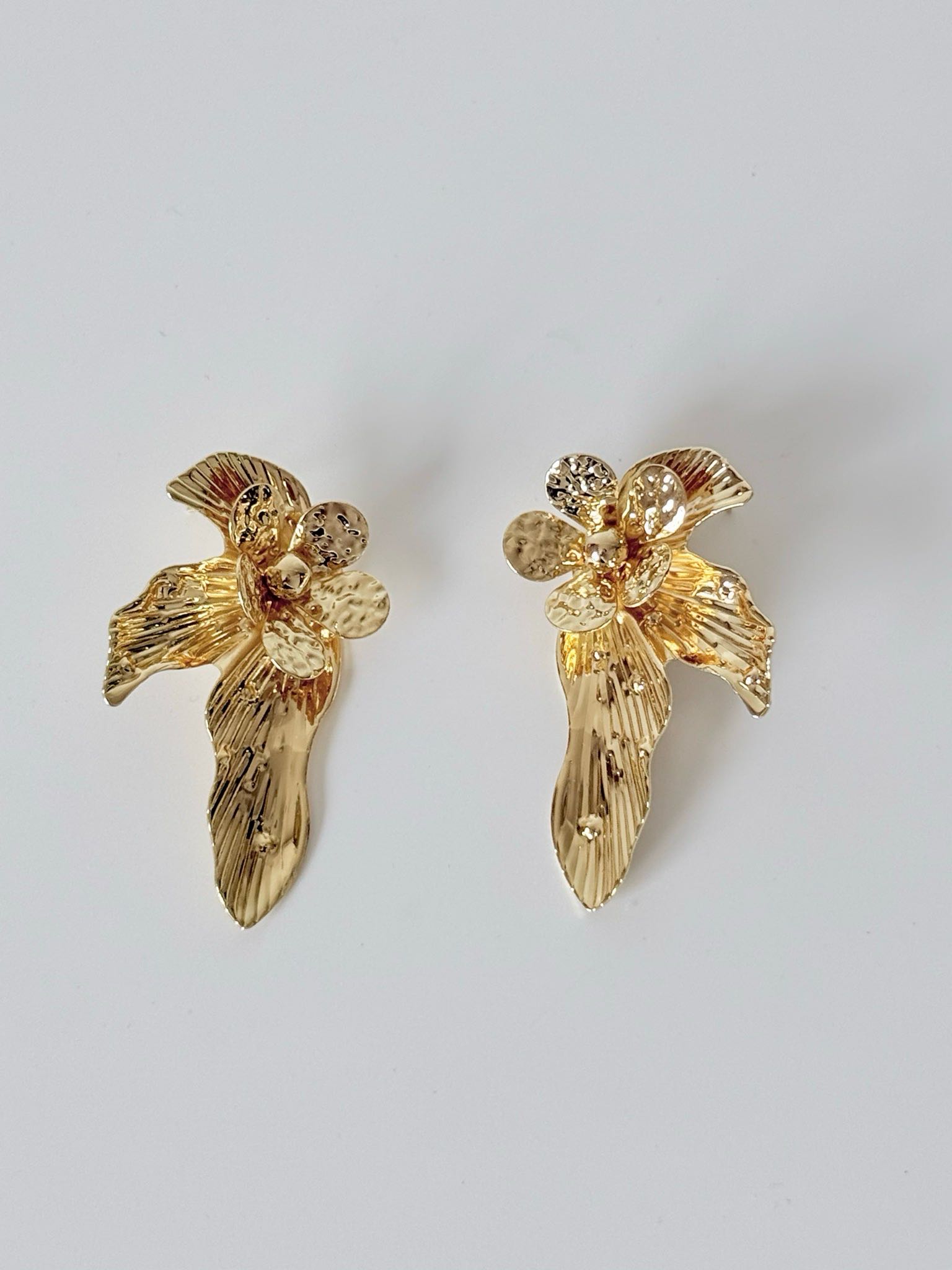 ARETES HAZELL  (F-1223)