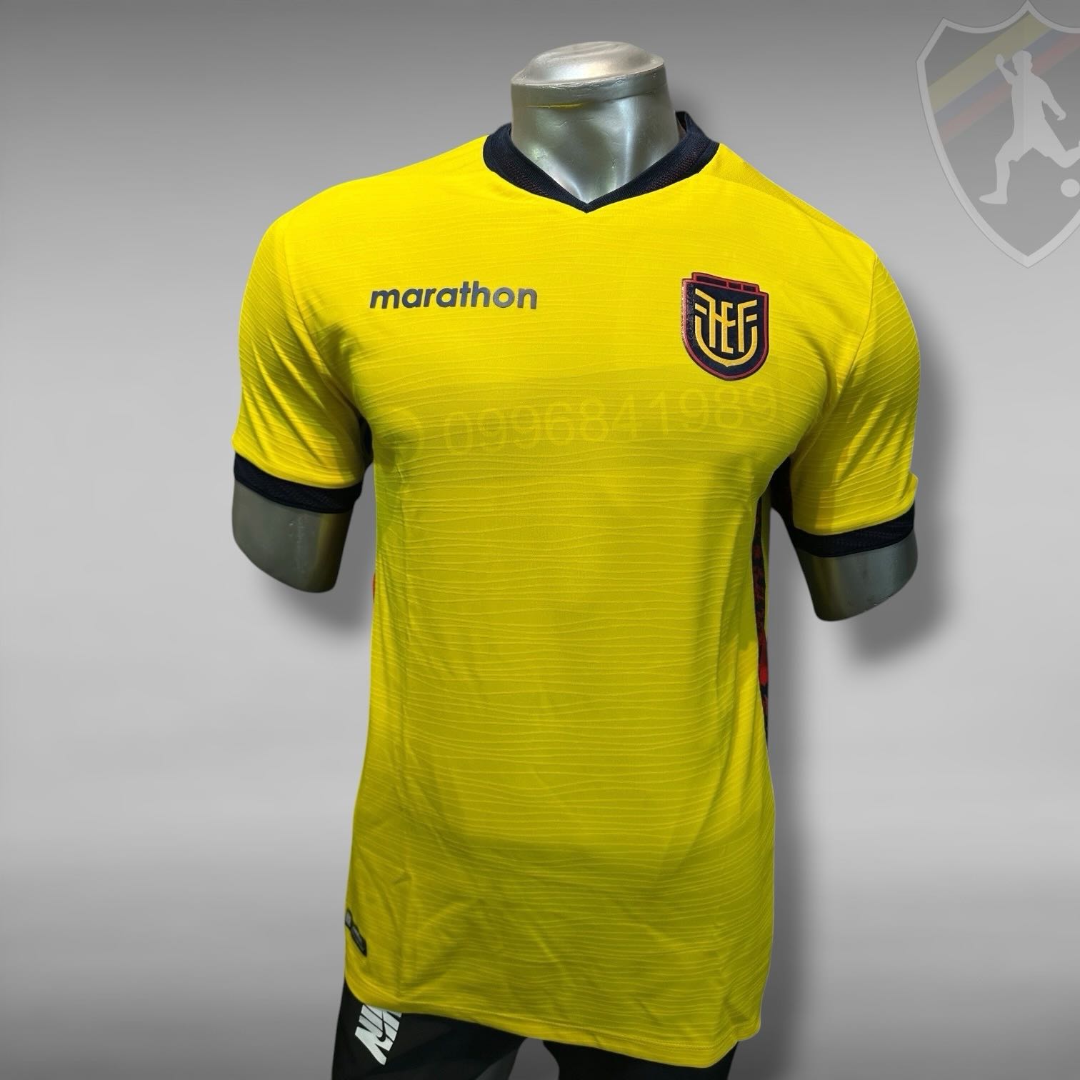 Titular Selección Ecuador 2026
