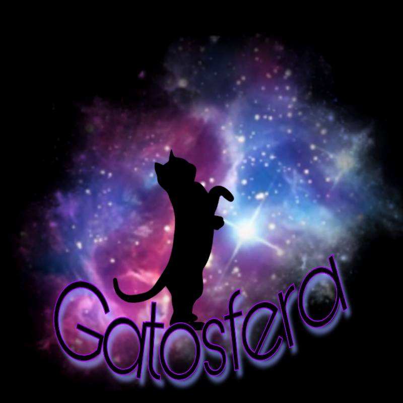 Gadgets Gatosfera