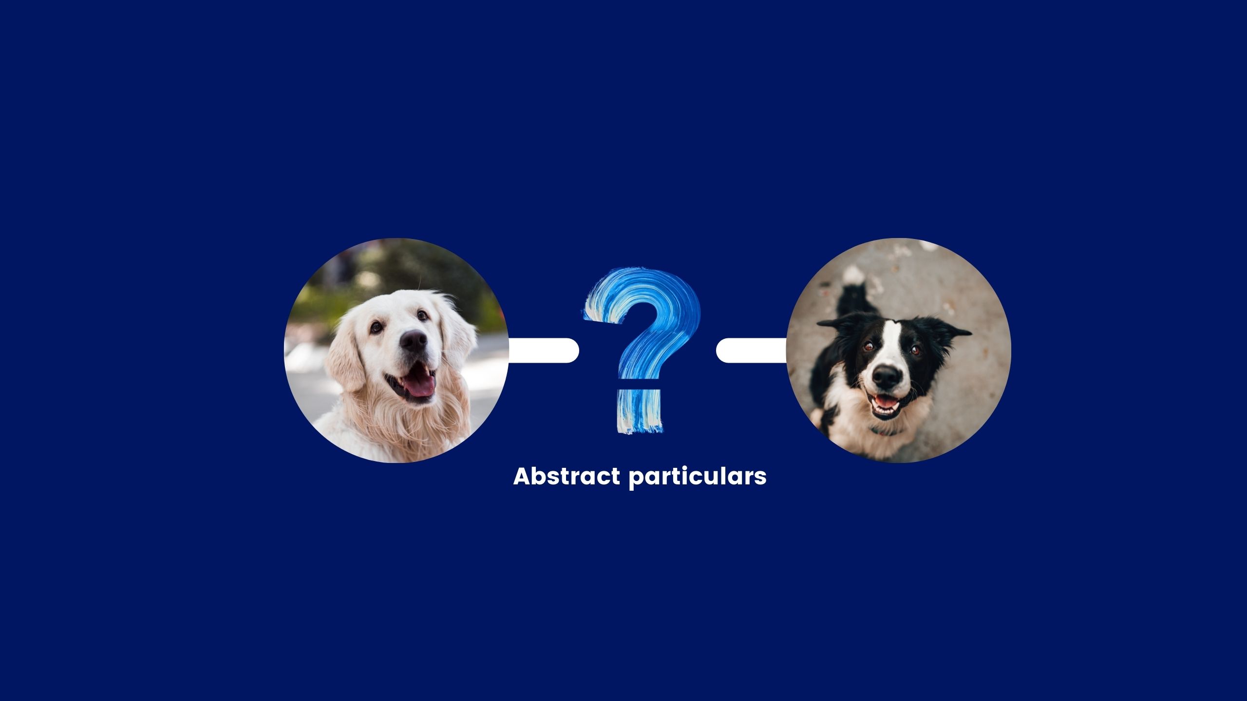 Abstract particulars