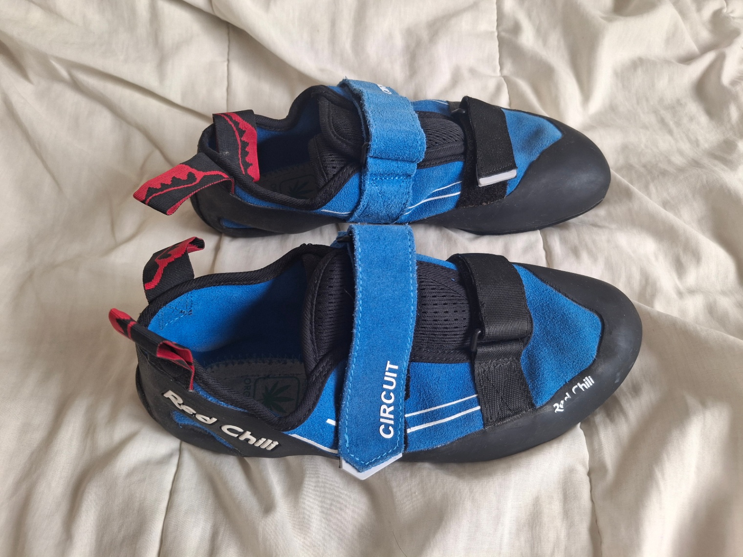 Red Chilli Circuit climbing shoes