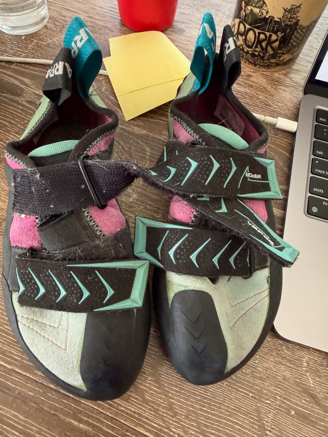 Women's Climbing shoe Scarpa Vapor