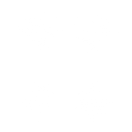 Sunbisoft White Logo