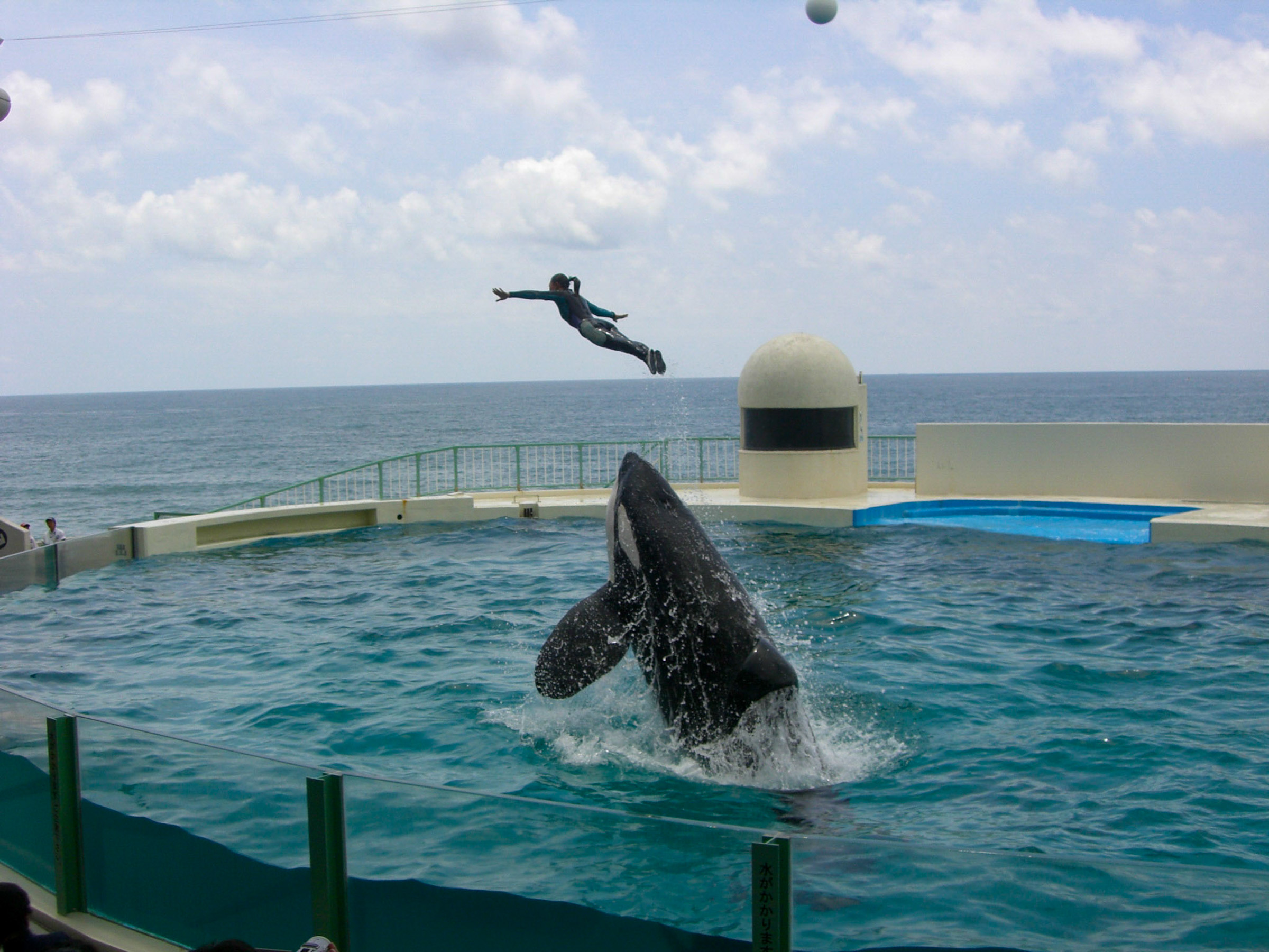 鴨川シーワールド