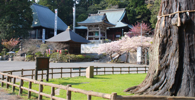 大本山 清澄寺