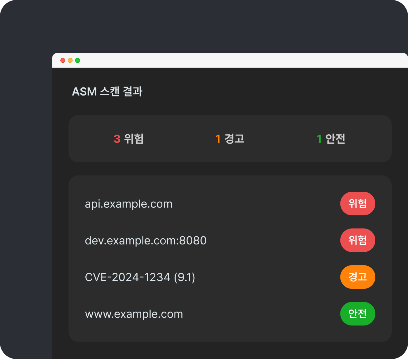 ASM 스캔 결과