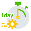 1 day service
