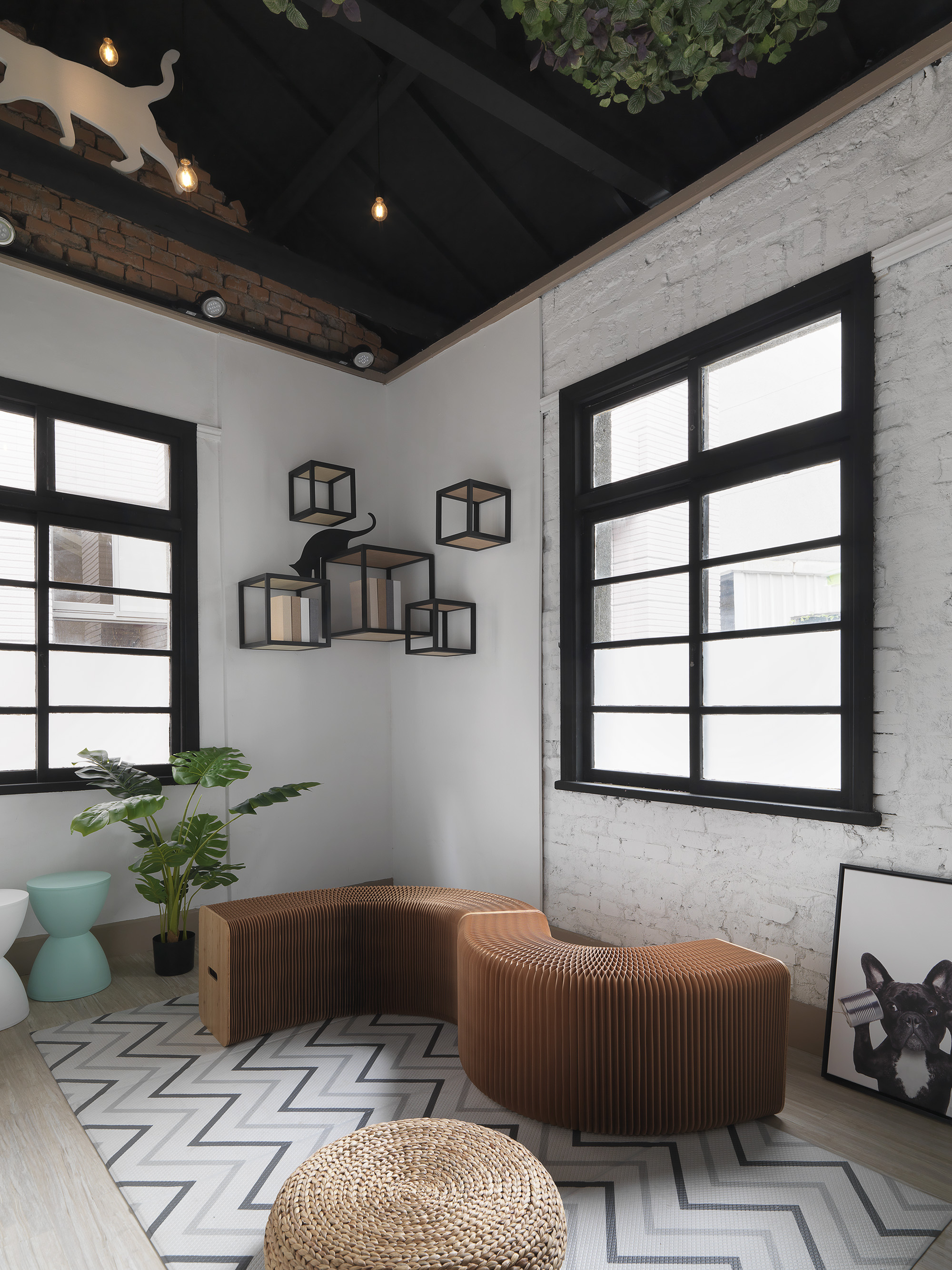 益生寵愛 作品照片 14