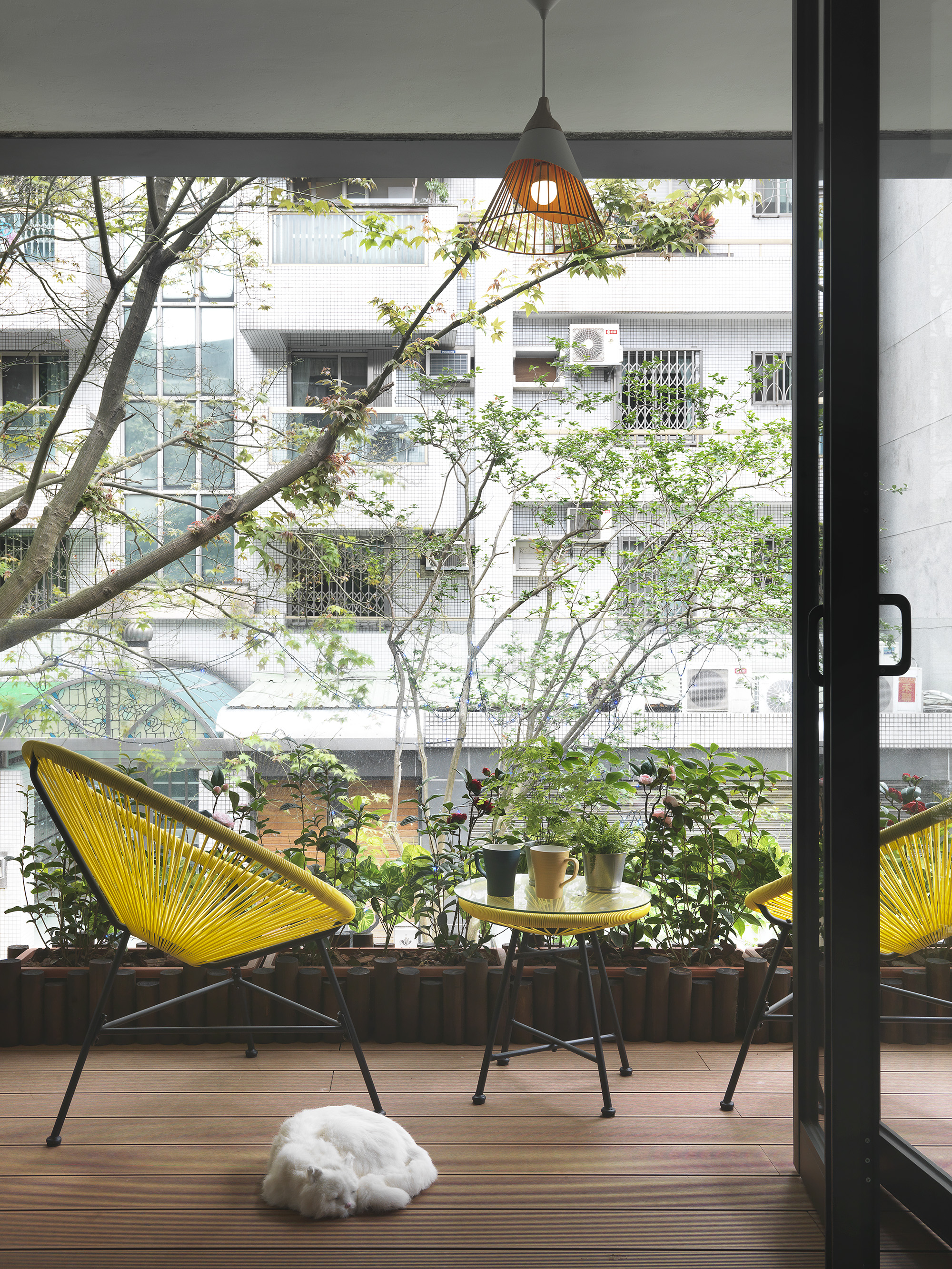 益生寵愛 作品照片 17