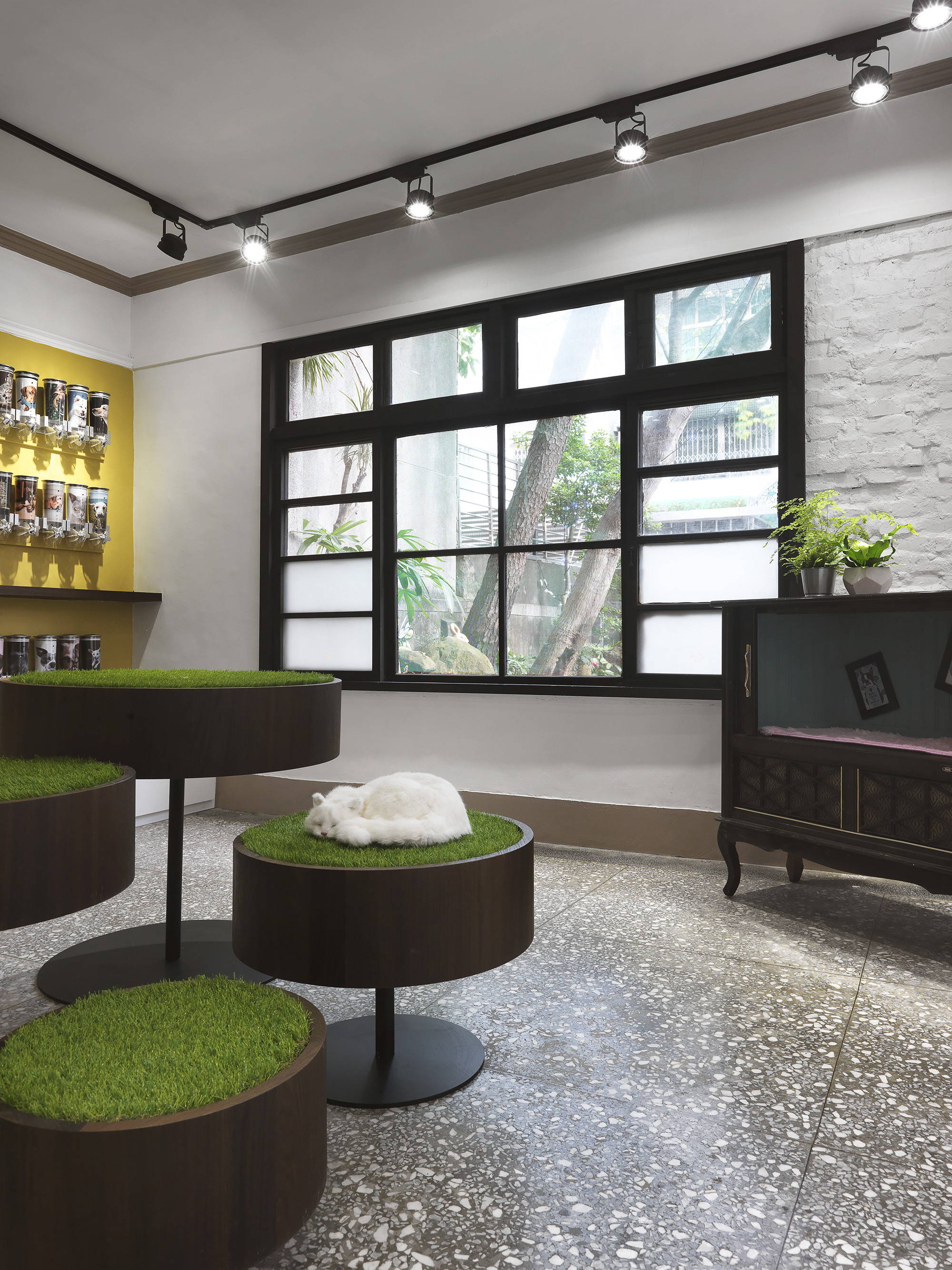 益生寵愛 作品照片 31