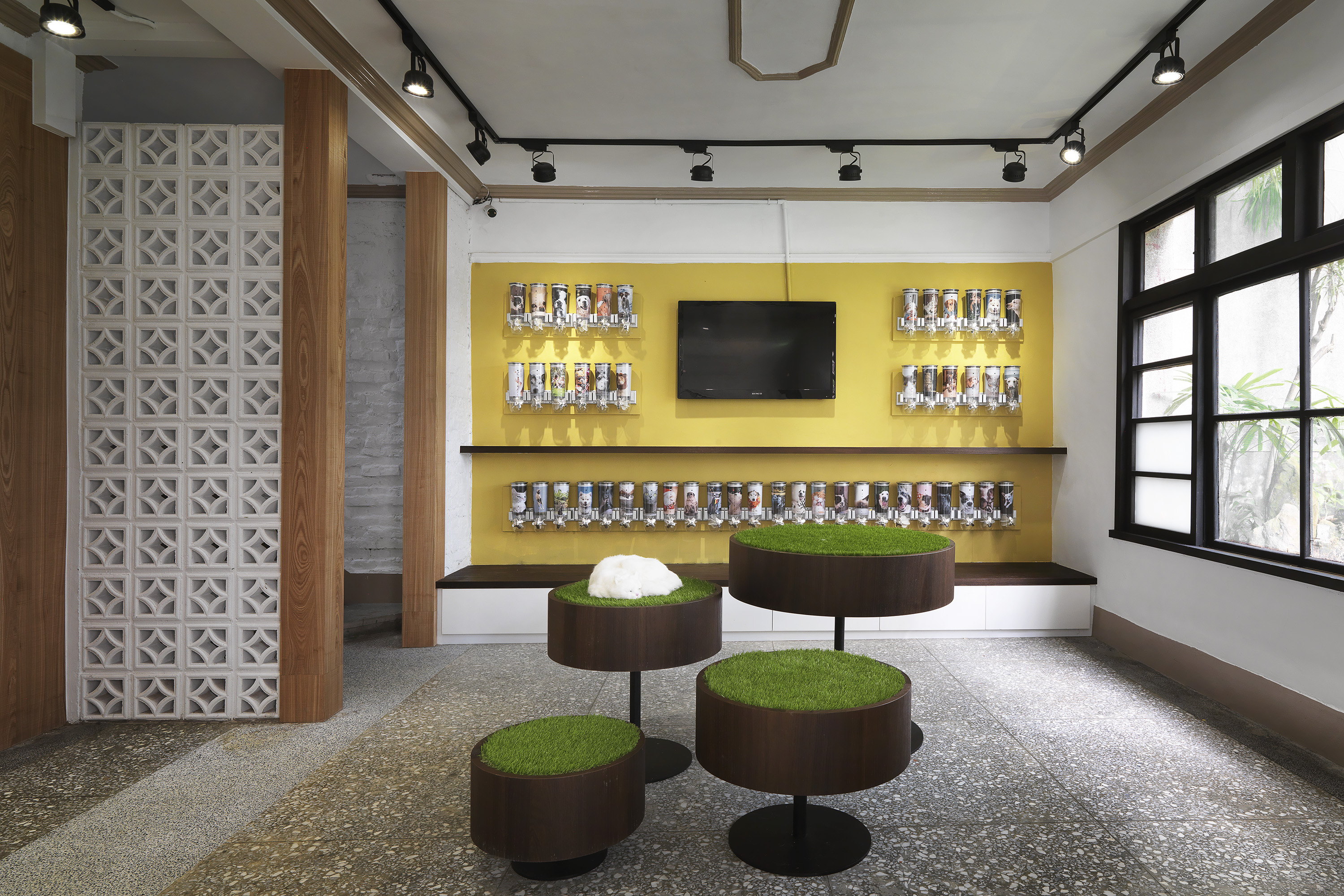 益生寵愛 作品照片 32