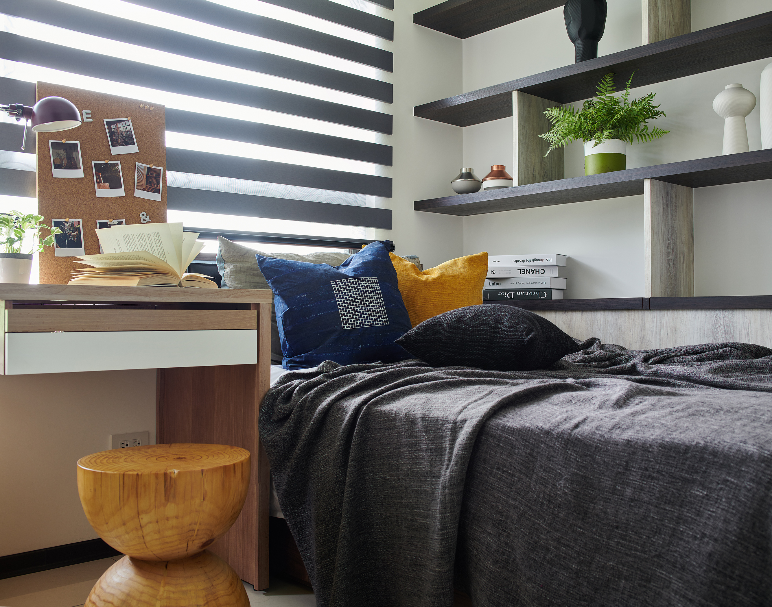 安居 作品照片 9